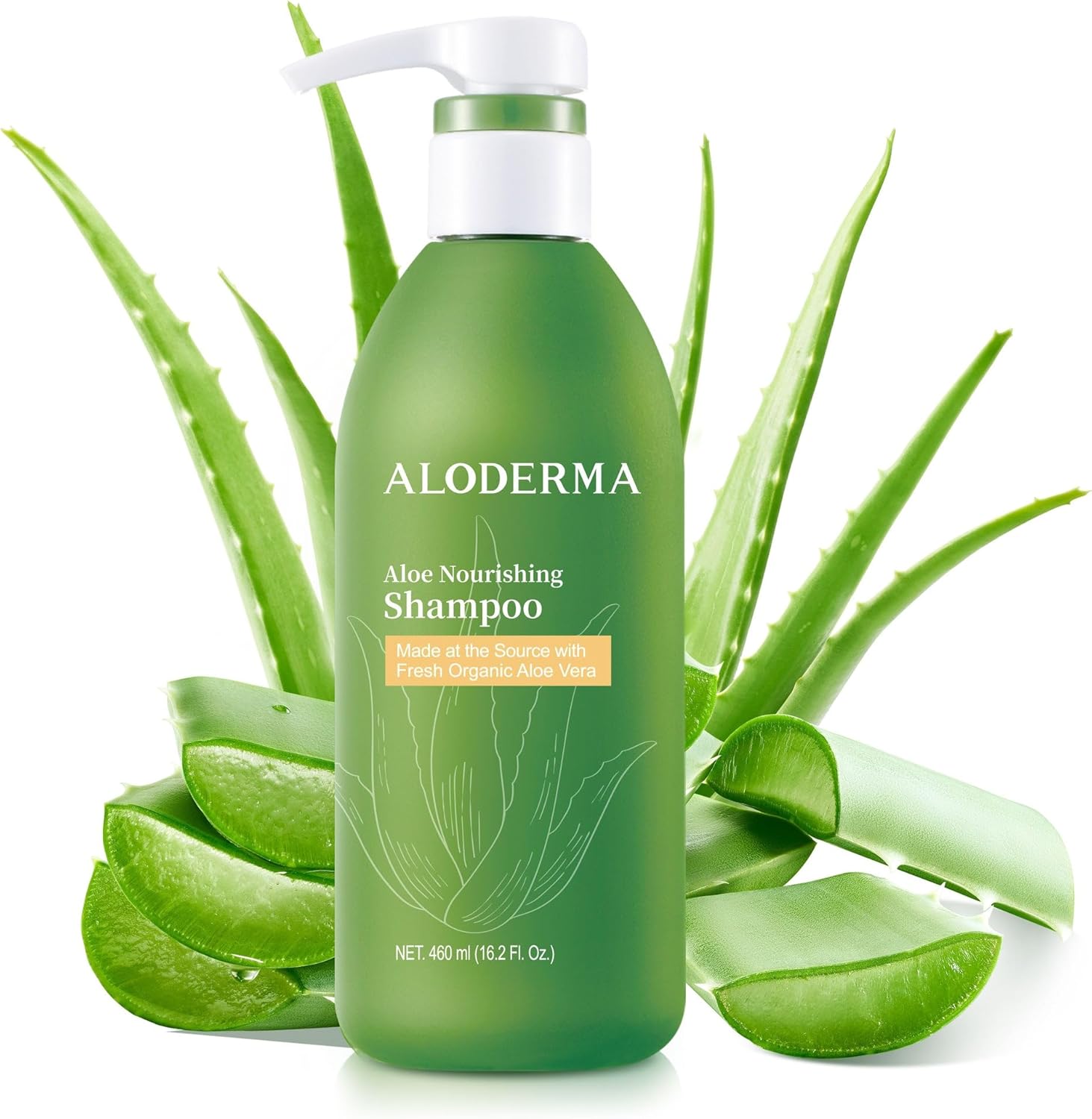 Aloderma Aloe Nourishing Shampoo front view bottle showing premium organic aloe vera hair care packaging.