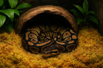 Natural blond sphagnum moss for dart frogs and snakes