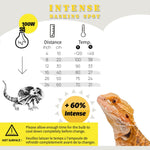 Reptiking 100 Watts UVA heat lamp bulb for turtles close up