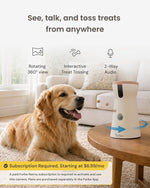 Interactive pet monitor tossing a treat to a dog in a living room