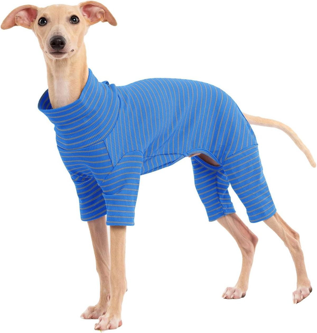 Dog Sweaters for Small Dogs Girls Boys, Striped Pet Sweaters for Fall Winter Dog Clothes, Turtleneck Pullover Knitwear for Small Medium Large Dogs - Image 15