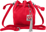 Little Earth Productions NCAA Charming Mini Bucket Bag back profile