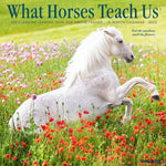 What Horses Teach Us 2023 Wall Calendar - Image 1