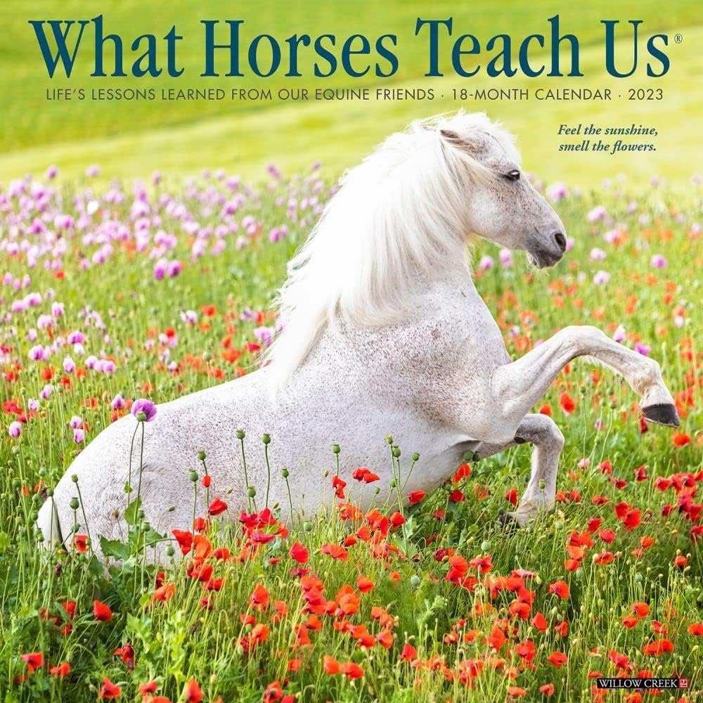 What Horses Teach Us 2023 Wall Calendar - Image 1