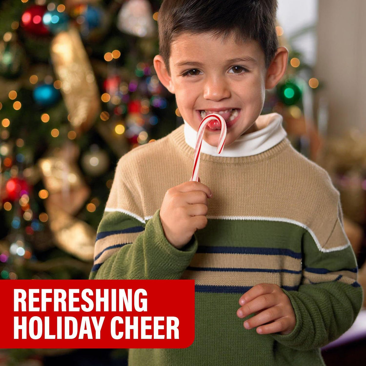 Two packs of Sweetside Candy Co. bulk candy canes showing twenty-four total count.