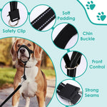 Rosvola dog training strap showing the metal chin clip and additional safety link attachment.