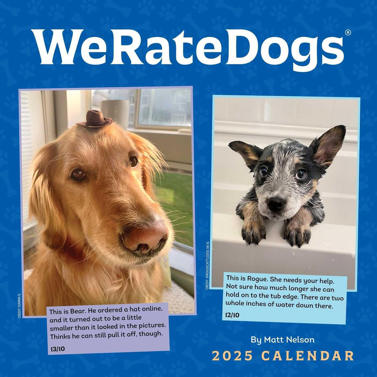 WeRateDogs 2025 Wall Calendar - Image 1