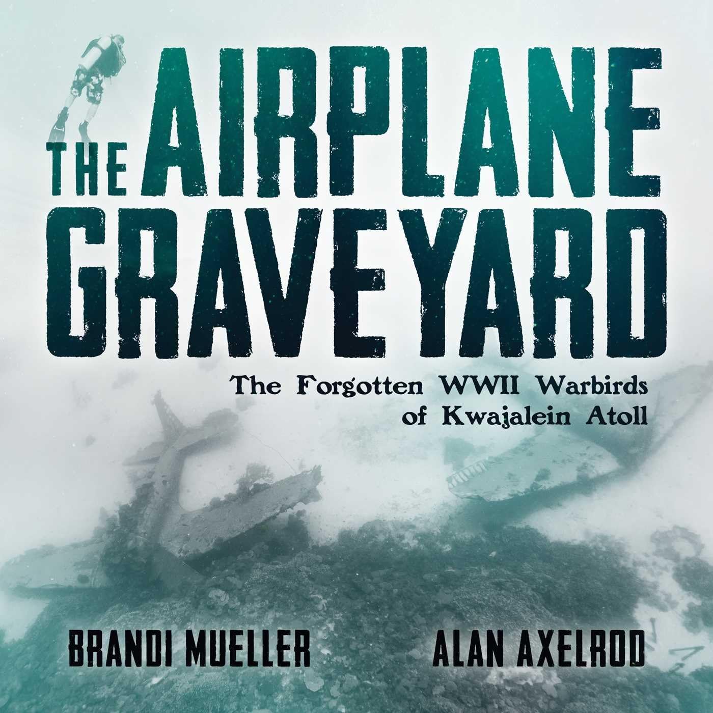 The Airplane Graveyard: The Forgotten WWII Warbirds of Kwajalein Atoll - Image 1