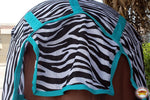 Rear view of horse fly sheet with leg straps secured
