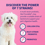Nutramax Proviable prebiotic and probiotic supplement for intestinal health