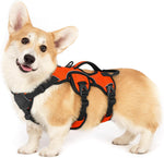 rabbitgoo Escape Proof Dog Harness, Soft Padded Full Body Pet Harness, Reflective Adjustable No Pull Vest with Lift Handle and Leash Clip for Large Dogs Walking Hiking Training, L, Black - Image 12
