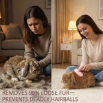 MCTOURY pet grooming tool being used gently on a bunny for loose hair removal