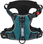 PoyPet No Pull Dog Harness with 3 Leash Clips and Vertical Handle | No Choke, Reflective, Adjustable, Soft Padded, Dog Vest for Medium Dogs, Walking Training, Black, M - Image 10