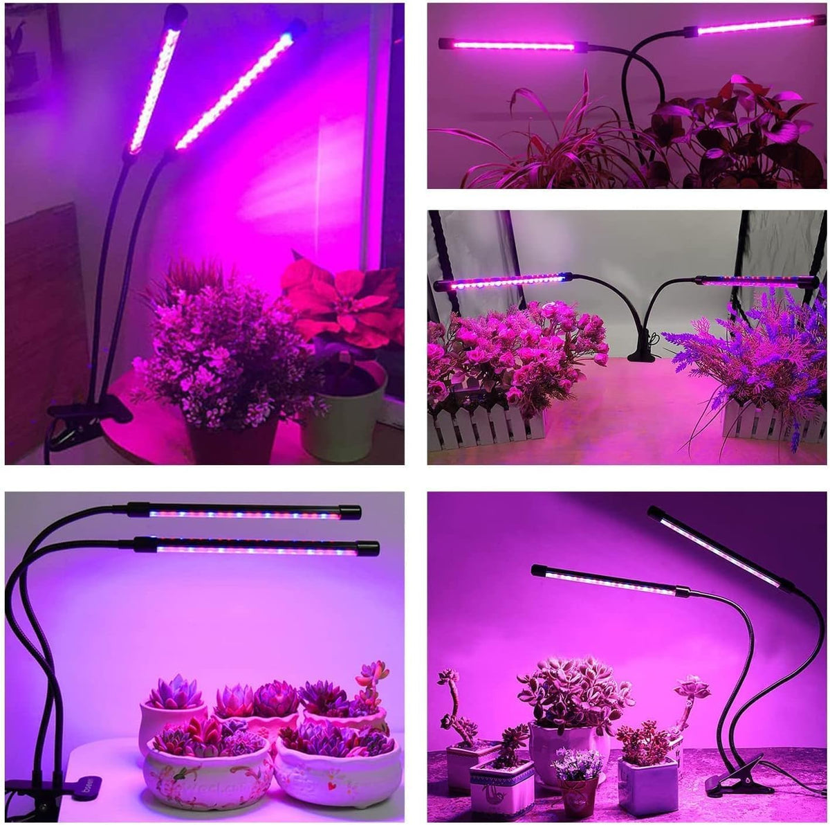 Bseah grow light glowing red and blue LEDs