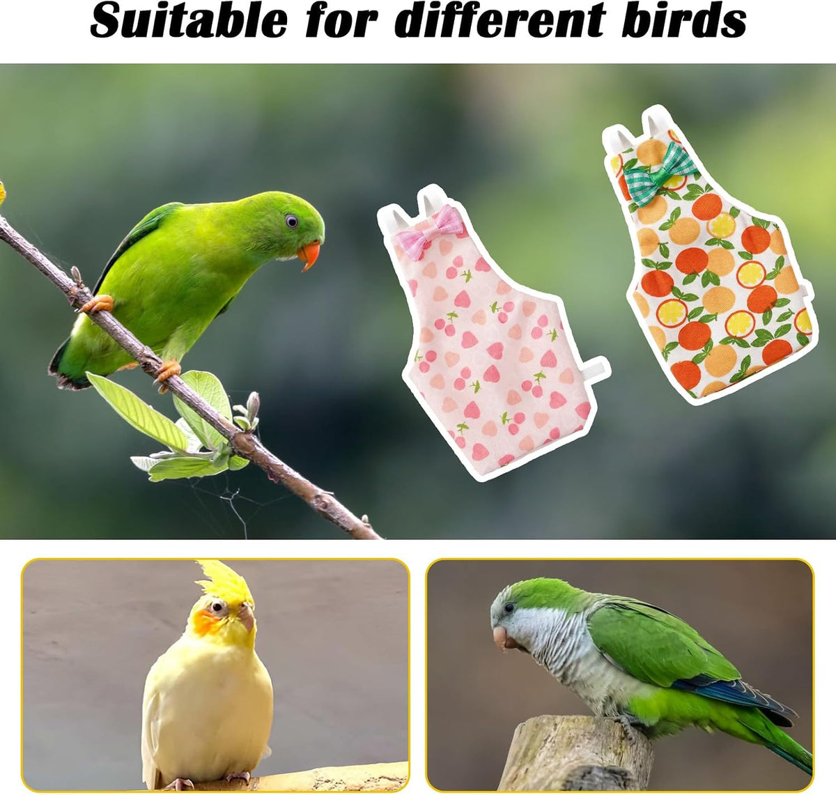 Waterproof pet bird pants designed for cockatiels and parakeets