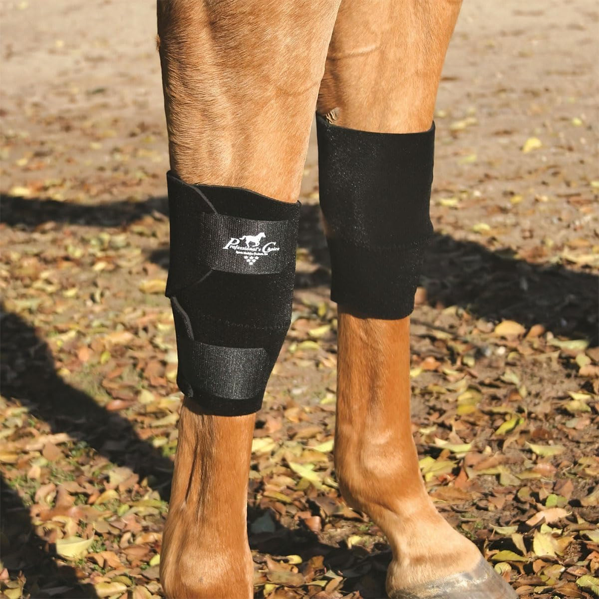 Professional's Choice black universal knee boot pair for horses