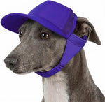 Reinforced brim detail on Tuff Pupper dog hat