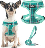 Pupteck small dog harness and leash set front view walking vest