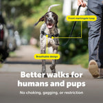 PetSafe dog harness quick snap buckle feature