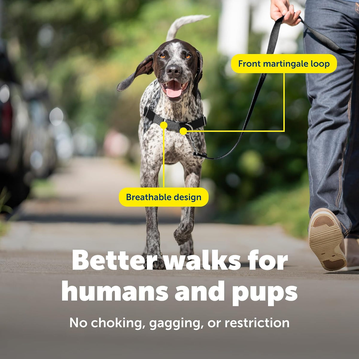 PetSafe dog harness quick snap buckle feature