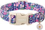 Lionet Paws floral daisy dog collar front view
