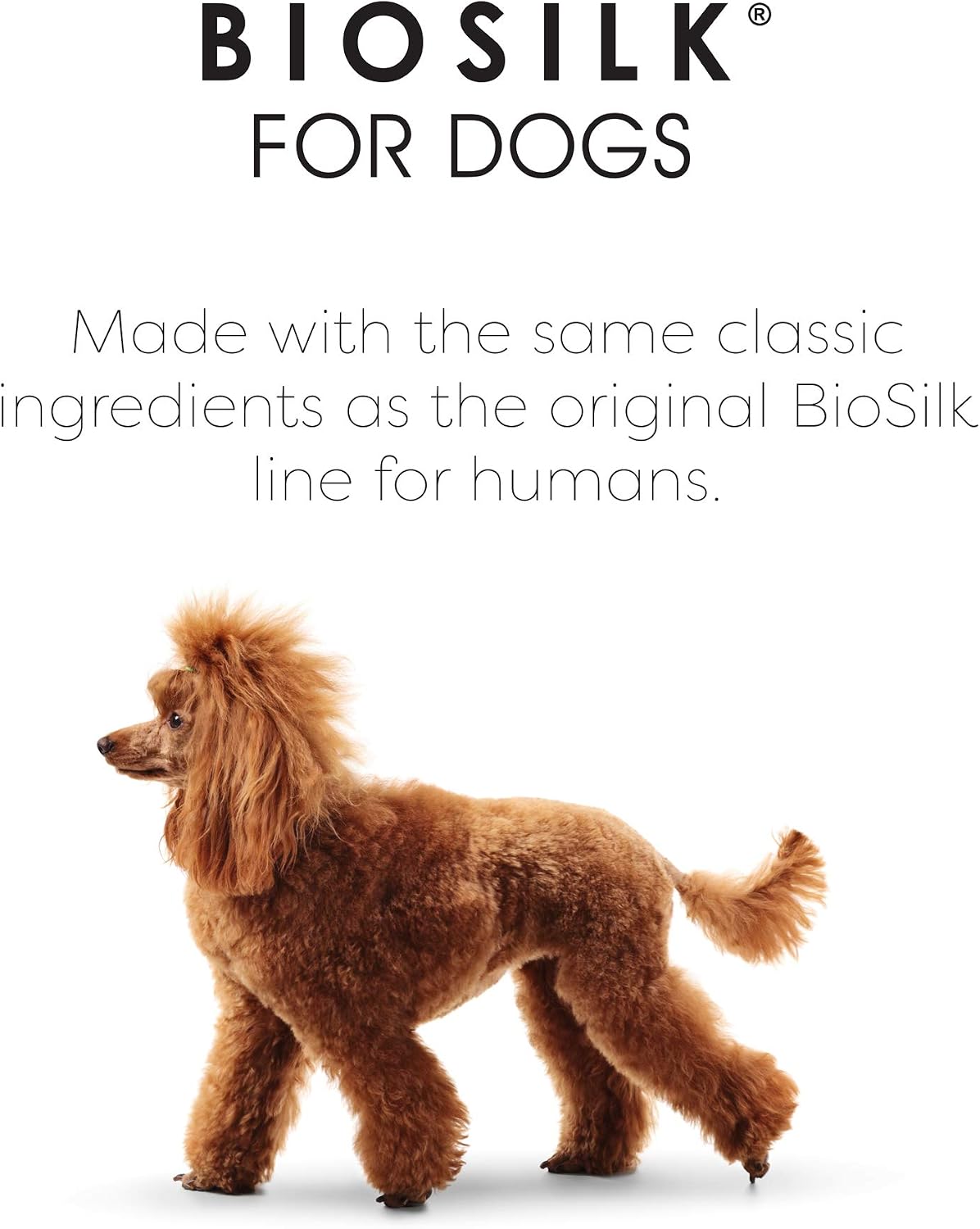 Sulfate free dog detangling spray for doodles and poodle mixes
