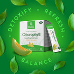 Nature's Sunshine chlorophyll gut health powder sticks box design