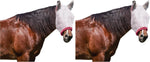 Farnam SuperMask II Horse Fly Mask WITH EARS, Extended Coverage Equine Fly Protection, Protects Eyes from Insects, Debris & UV, Adjustable Throat Latch, Plush Fleece Trim, Average Size - Image 14