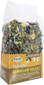 Exotic Nutrition Pasture Plus premium botanical small pet treat ingredients list panel