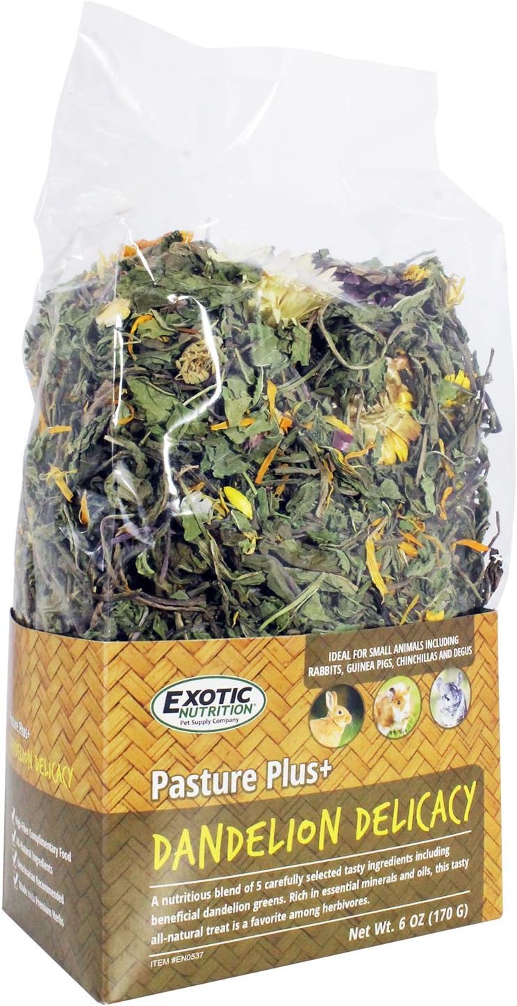 Exotic Nutrition Pasture Plus premium botanical small pet treat ingredients list panel