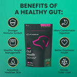 USA imported VetriScience dog gut health 120 count pouch display