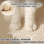 FHKPET large cat bed used as a scratching surface