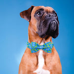 Detachable Dill Pickles pattern bow tie with elastic attachment straps