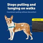 Close up of PetSafe Deluxe harness neoprene padding
