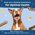 Application of dental gel into the groove of Barkbox Bright chew