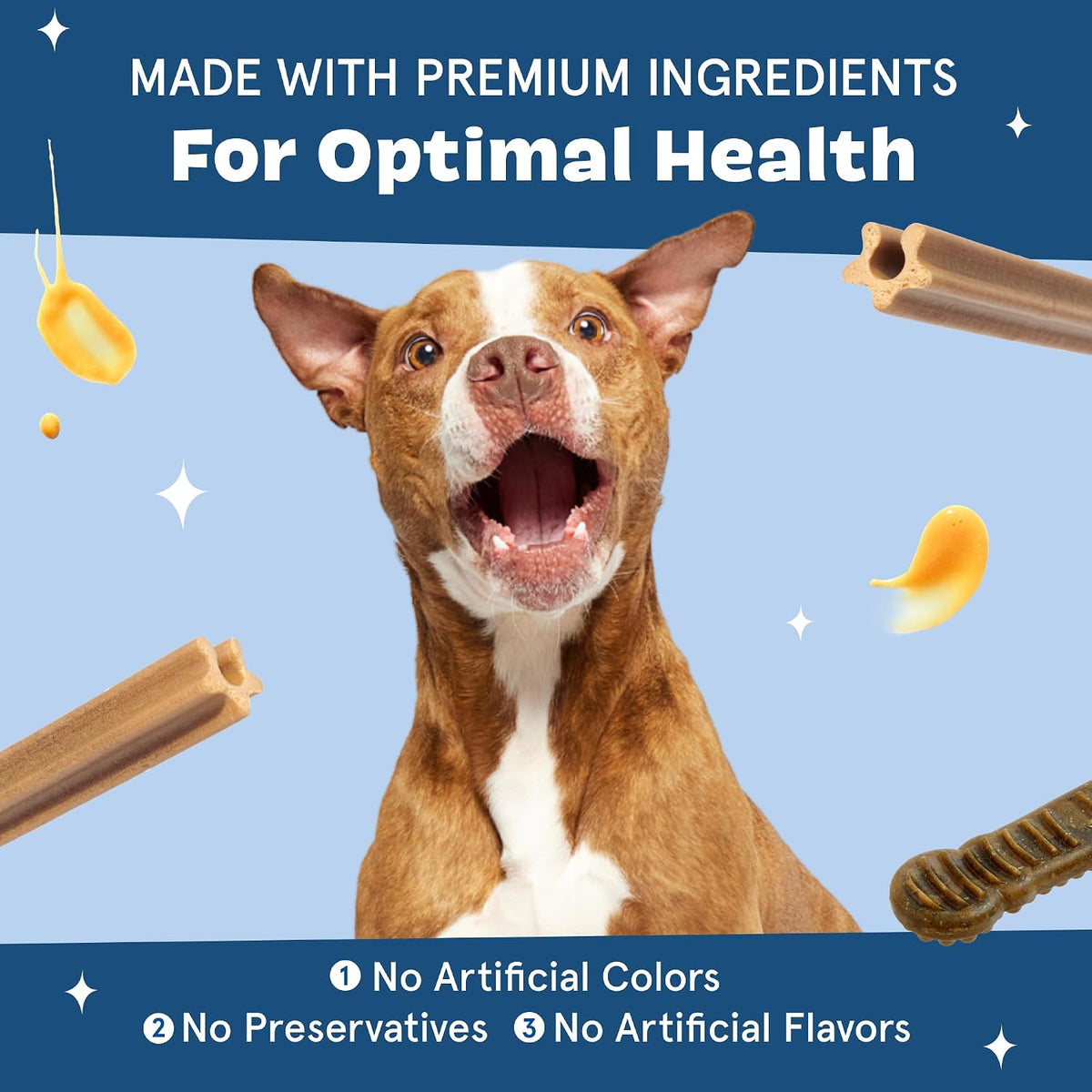Barkbox Bright dental kit components 15 chews and gel