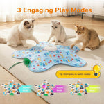 Packaging box view of Generisch two in one interactive cat toy mat.