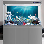 Authentic imported AWERT marine landscape scenery backdrop applied to a home terrarium setup.