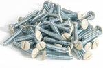 Complete pack of white wall plate installation screws