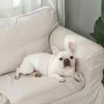 IMMCUTE small puppy diapers showing adjustable hook and loop fasteners