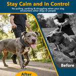 Reflective strip visibility feature on dog training collar