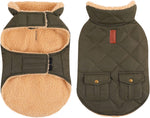 Queenmore cold weather dog coat in green front view
