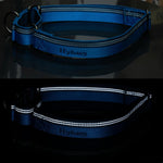 Hyhug classic blue dog collar triglide slide with tag holes