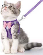 Cat Vest Harness and Leash Set for Walking Escape Proof, Adjustable Kitten Harness Breathable Mesh with Reflective Strips Harness for Kitty Puppy Bunny (Blue, XS) - Image 11