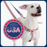 High quality stainless steel hardware on 2 Hounds Design harness