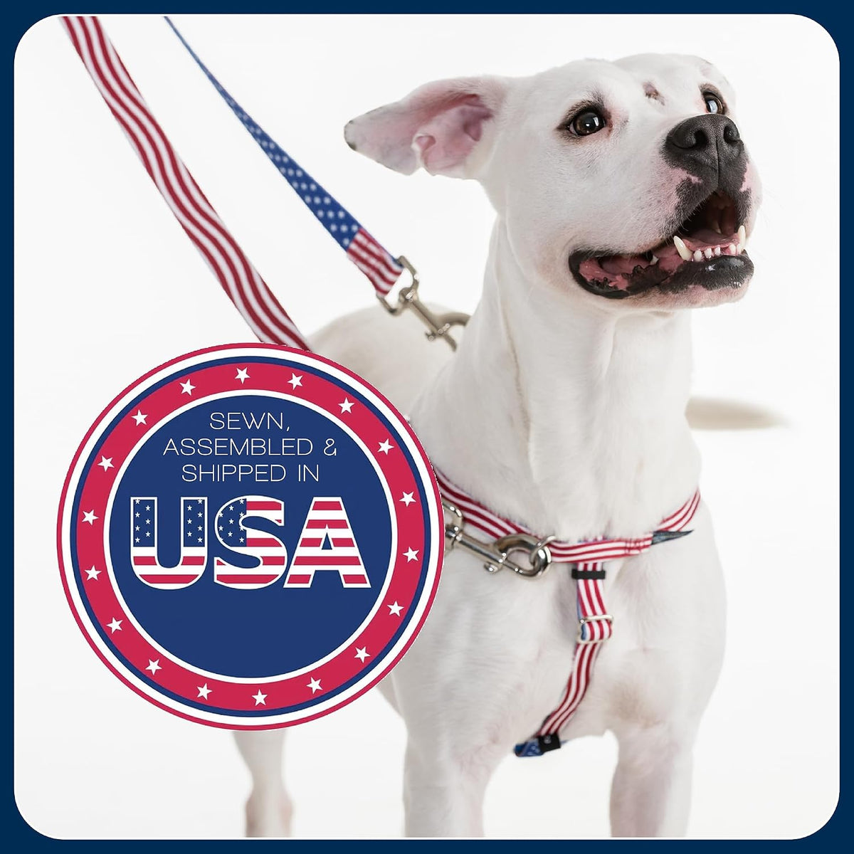 High quality stainless steel hardware on 2 Hounds Design harness