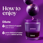 Ribena fruit juice concentrate bottle side nutritional profile