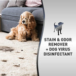 Natures Miracle enzymatic spray bottle for pet mess cleanup