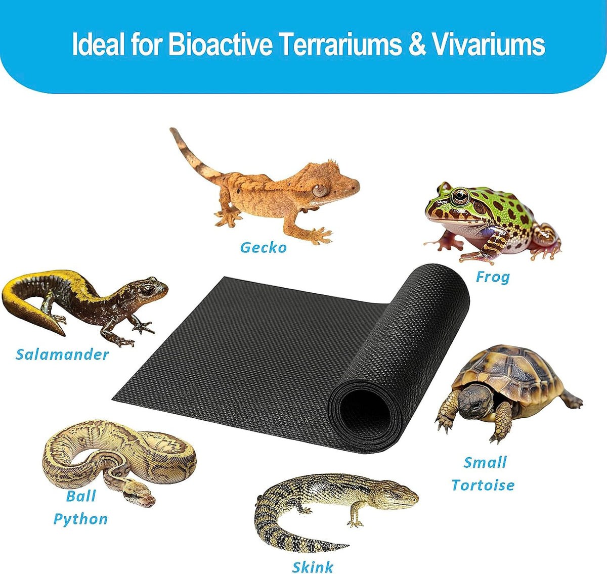 Duedusto vivarium substrate barrier flat layout showing dimensions for multi tier tropical setups.