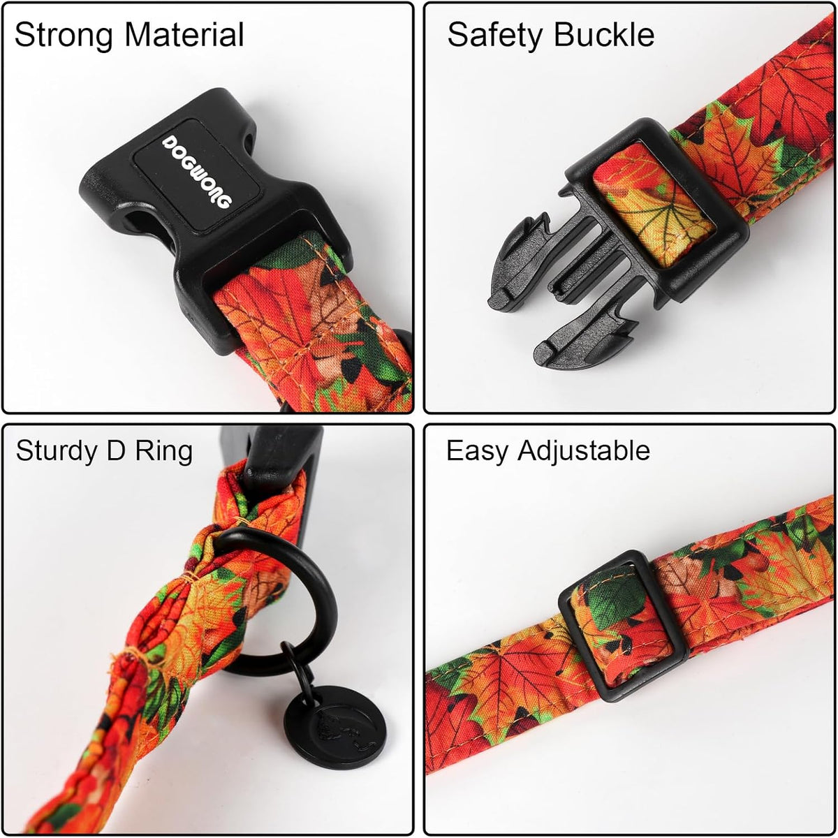 Dogwong fall pet collar highlighting the heavy duty plastic buckle.